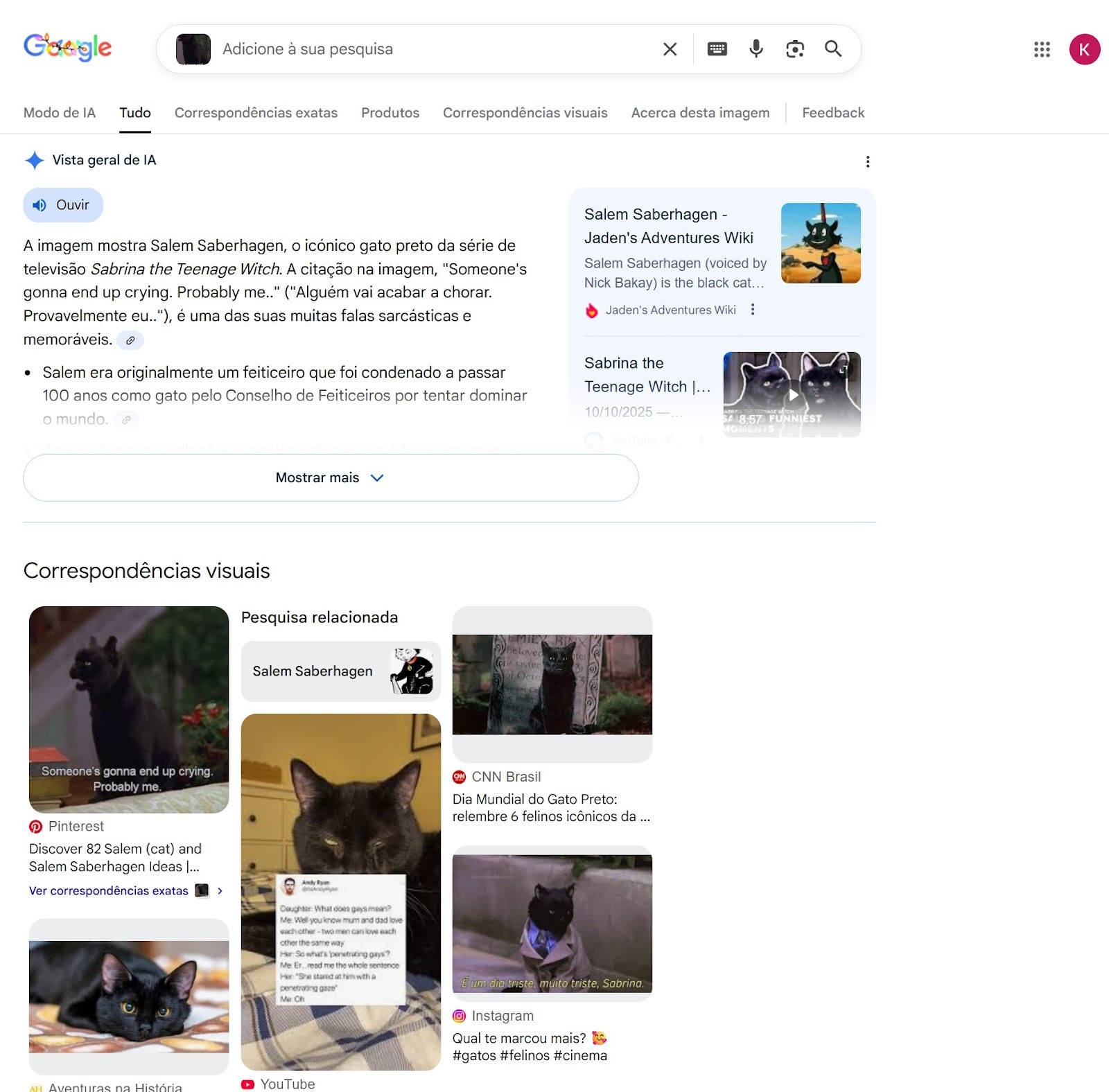 Página de resultados da busca tradicional do Google mostrando uma AI Overview no topo, seguida por correspondências visuais e resultados relacionados a uma imagem do gato Salem Saberhagen.