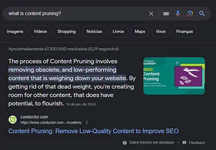 Captura de tela de uma página de resultados de um motor de busca com a consulta "what is content pruning?" O foco principal é um trecho em destaque que define a poda de conteúdo: "O processo de Poda de Conteúdo envolve a remoção de conteúdo obsoleto e de baixo desempenho que está pesando em seu site. Ao se livrar desse peso morto, você está criando espaço para outro conteúdo, que tem potencial para florescer".